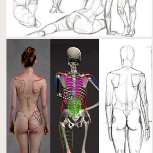 קורס זום לציור פיגורטיבי - בנייה, מחוות ואנטומיה יישומית