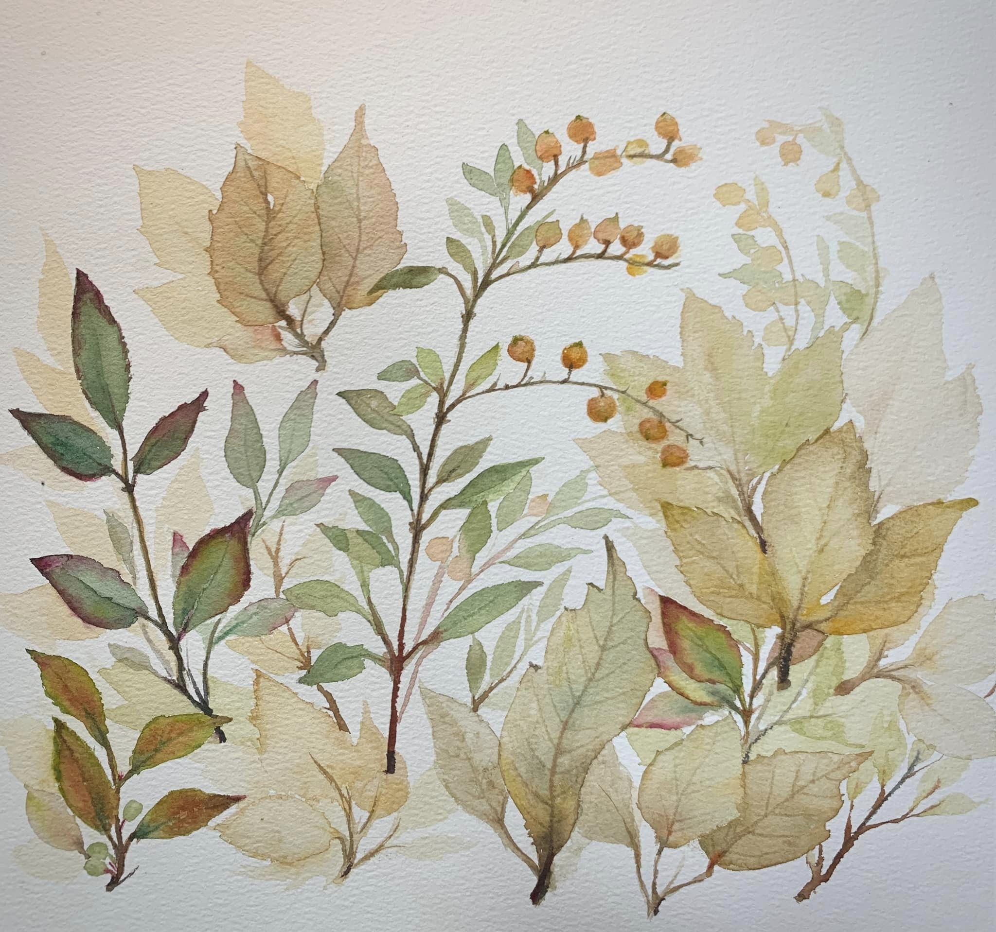 סדנת ציור בוטני בצבעי מים – תמונה 2